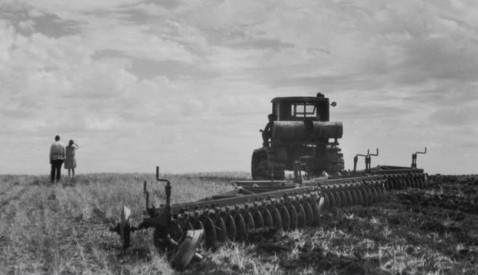 agricultura percepcar paisagem cortado