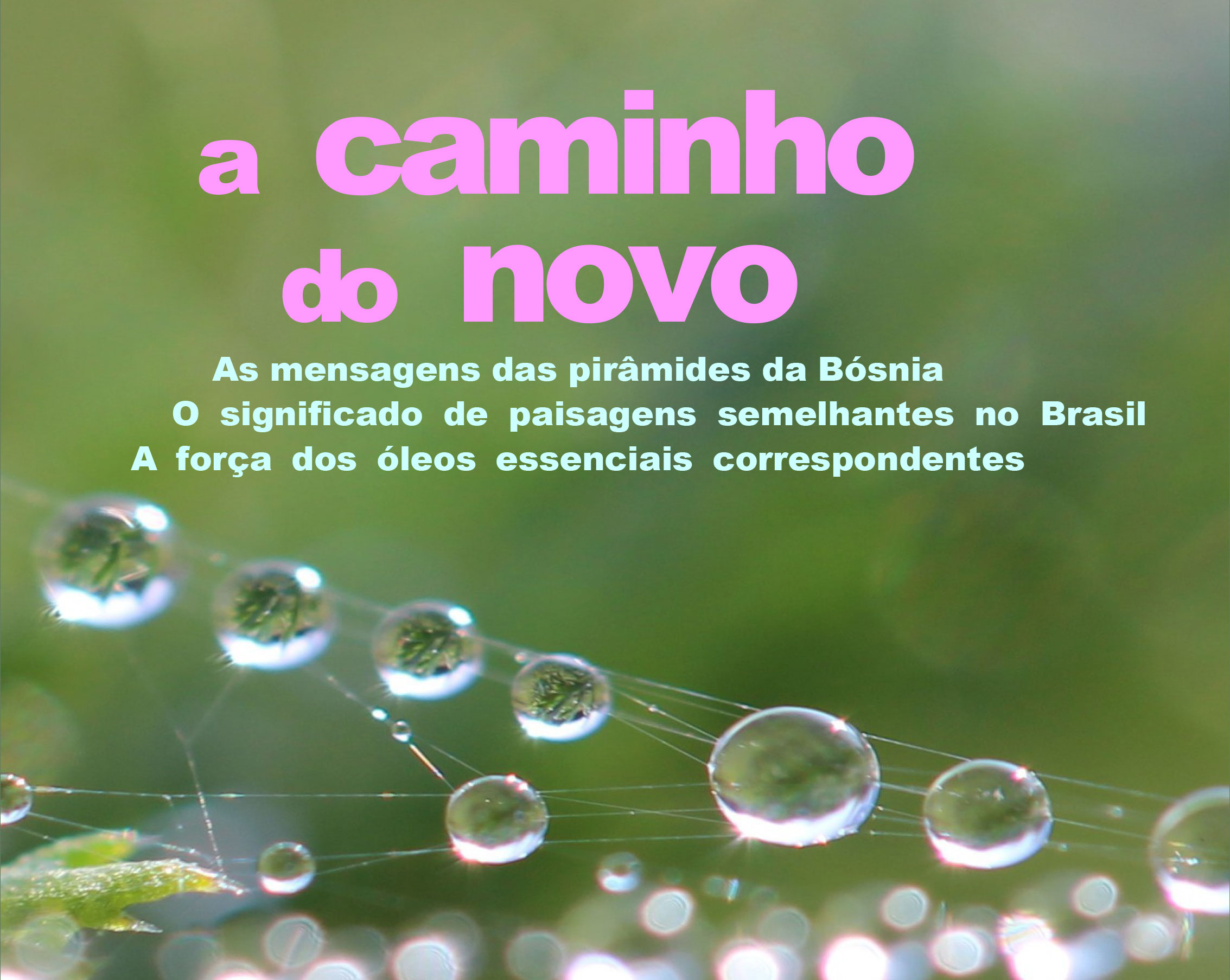 book-launch-web